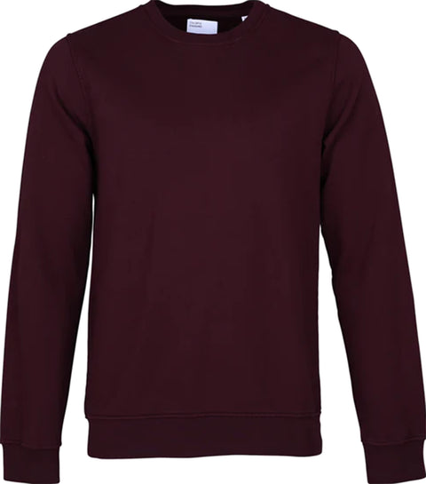 Colorful Standard Classic Organic Crew - Men's