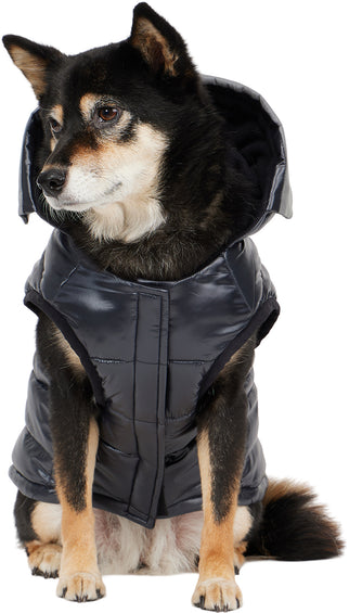 Pajar Miles Multi Quilted Coat with Reflective Visor for Dogs