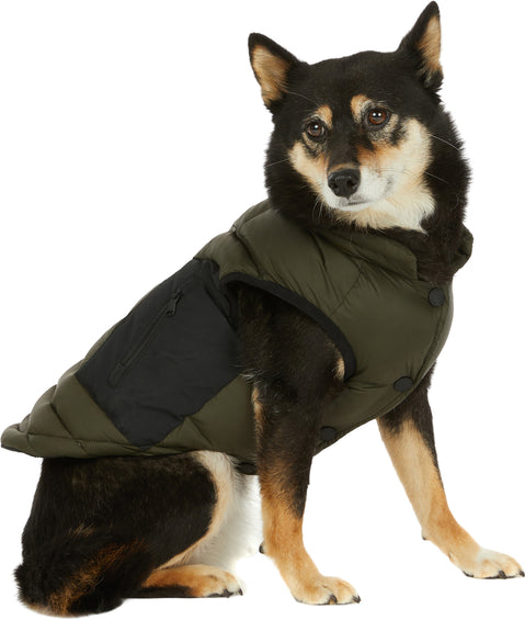 Pajar Beau Jacket with Leash Attachment for Dogs