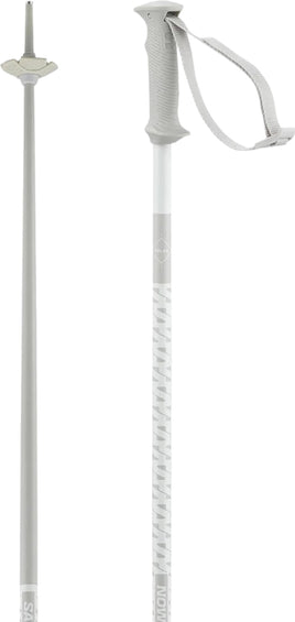 Salomon Polar Access Alpine Ski Poles