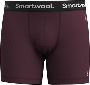 Smartwool Everyday Merino Boxed Boxer Brief - Men's