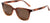Sunski Ventana Sunglasses - Caramel Amber