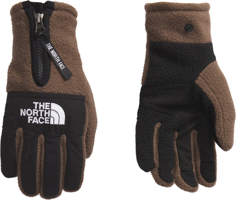 The North Face Denali Etip Gloves - Men's