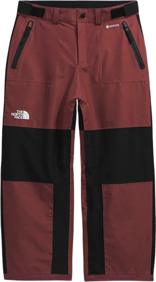 The North Face GORE-TEX Hex Pants - Men's