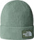 The North Face TNF Logo Box Cuffed Beanie - Unisex - Slate Moss - Bark Mist