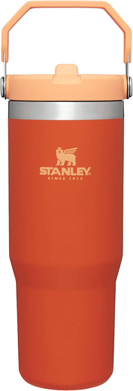 Stanley The IceFlow Flip Straw Tumbler 0,88L