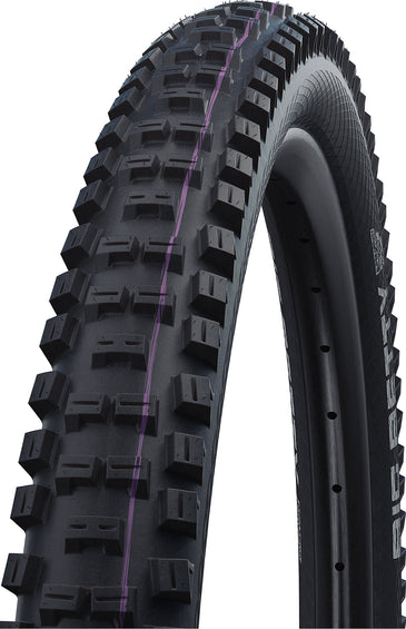 Schwalbe Big Betty MTB Tire - 29